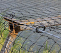 Vogelschutznetz